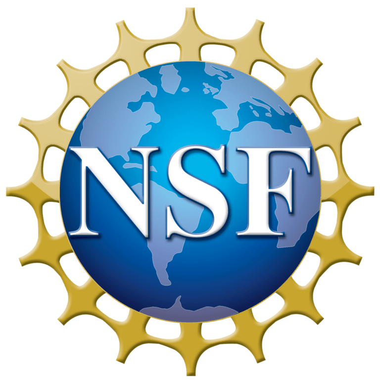 NSF 4 Color bitmap Logo 768x772 1