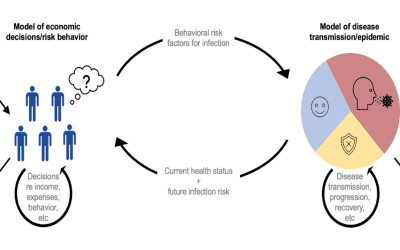 Incorporating Endogenous Human Behavior into Disease Transmission Models