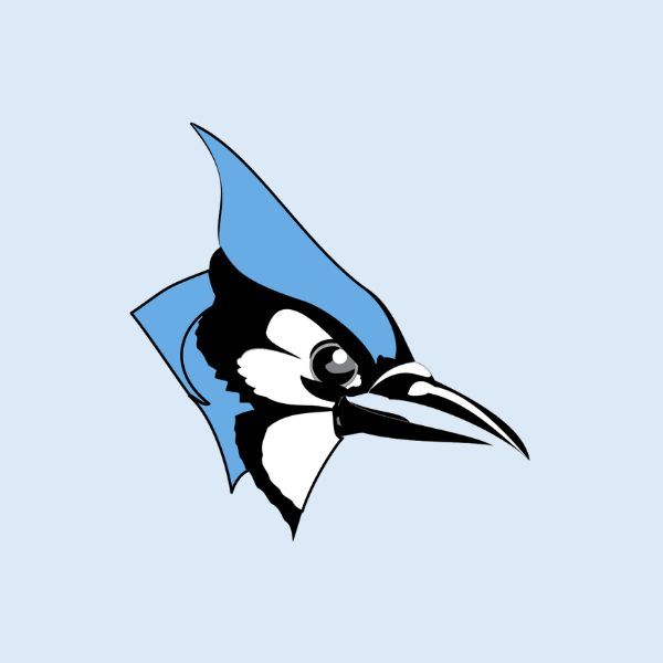 JHU Mascot Blue Jay Bird